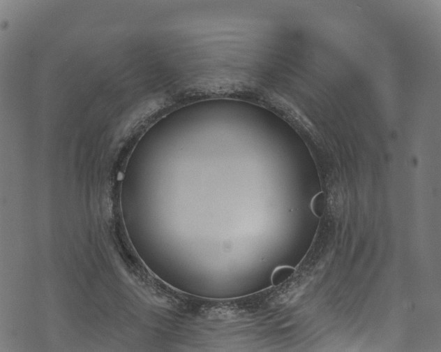 X0000070880635200606231344