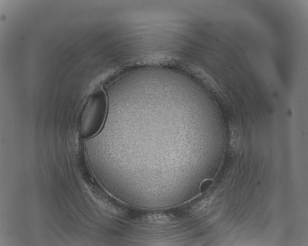 X0000070880636200606231344