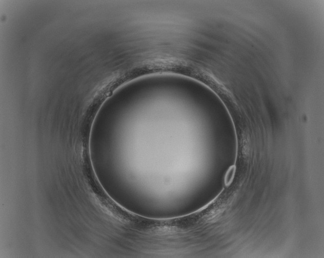 X0000070880637200606231344