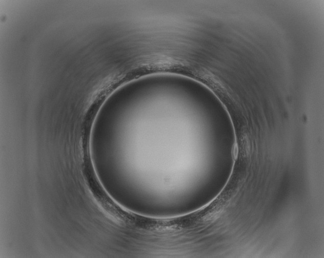 X0000070880638200606231344