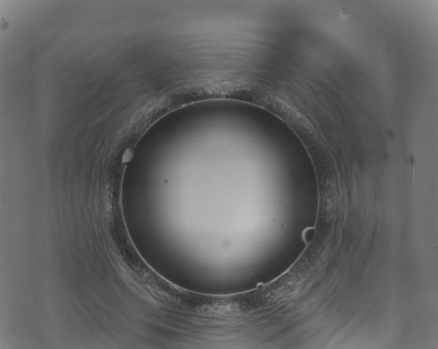 X0000070880639200606231344