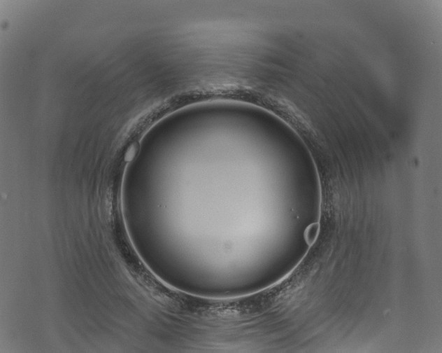 X0000070880640200606231344