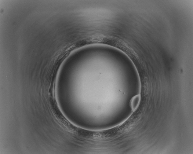 X0000070880641200606231344