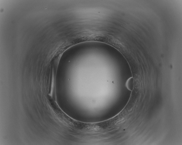 X0000070880642200606231344