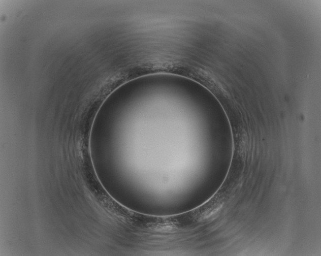 X0000070880643200606231344