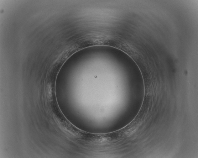 X0000070880646200606231344