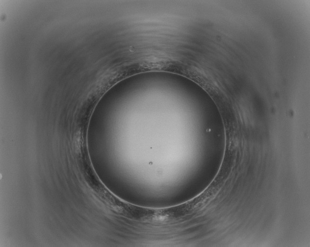 X0000070880647200606231344