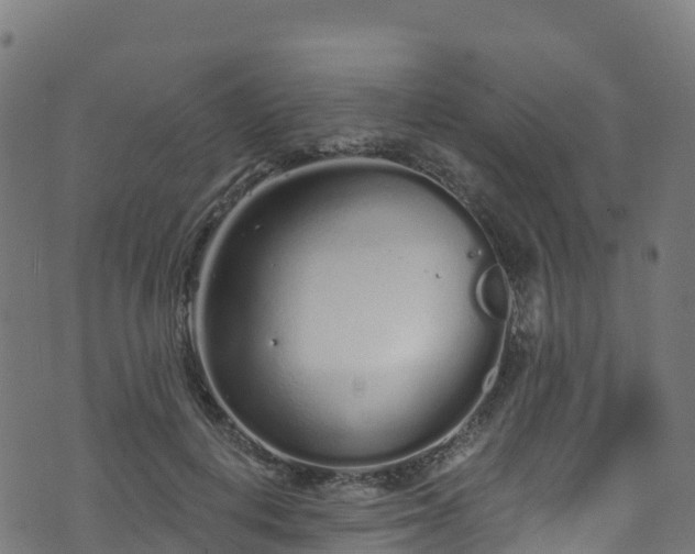 X0000070880648200606231344