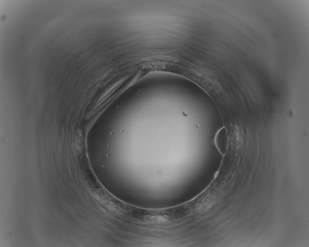 X0000070880649200606231344