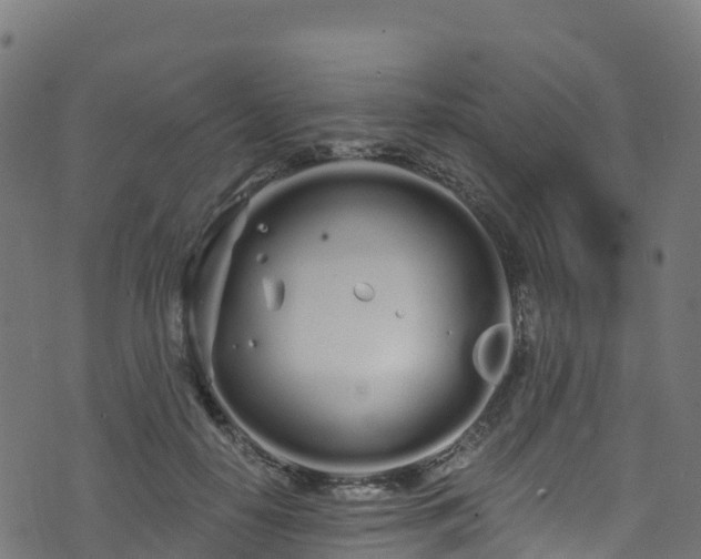 X0000070880650200606231344