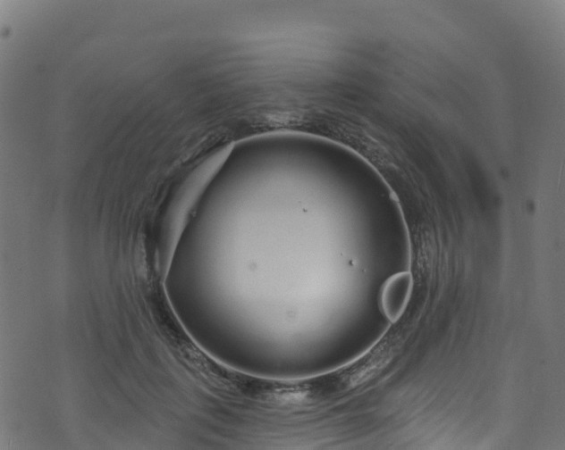 X0000070880651200606231344