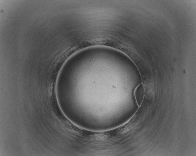 X0000070880652200606231344