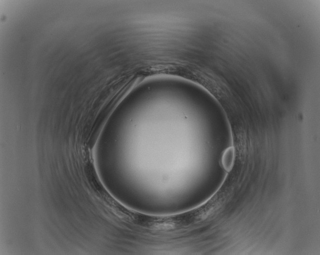 X0000070880653200606231344