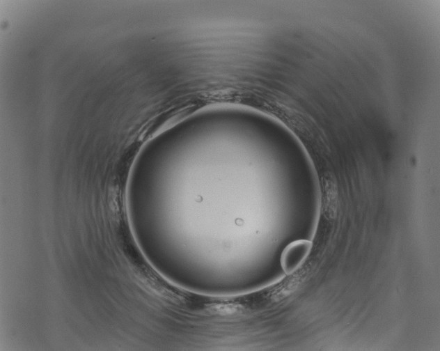 X0000070880654200606231344