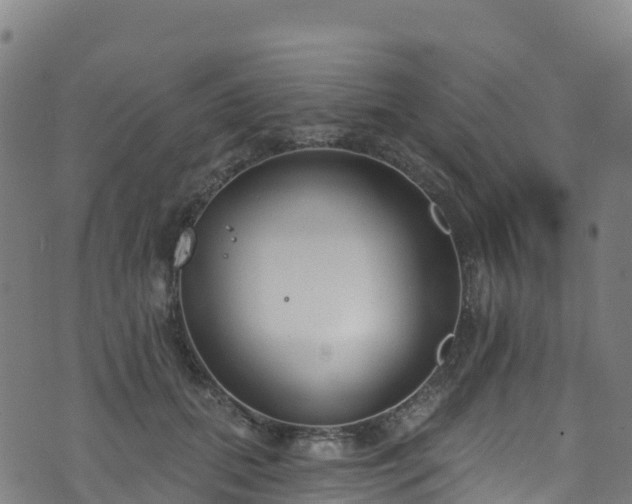 X0000070880655200606231344