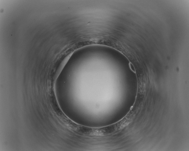 X0000070880656200606231344