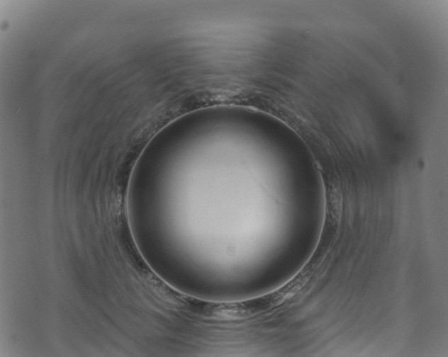 X0000070880657200606231344