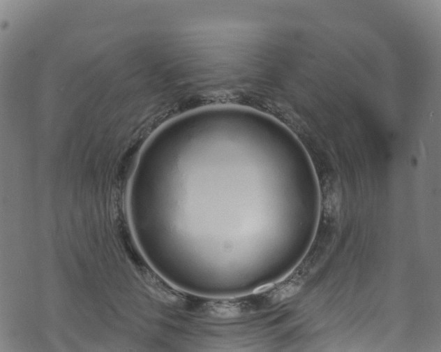 X0000070880658200606231344