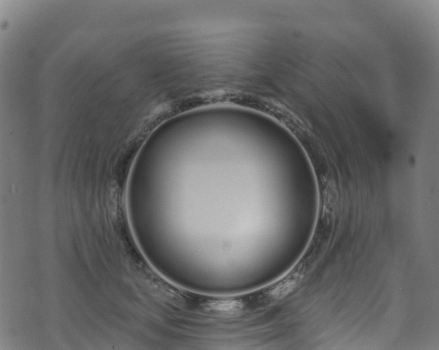 X0000070880659200606231344