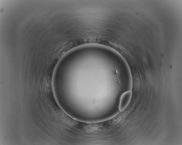 X0000070880661200606231344