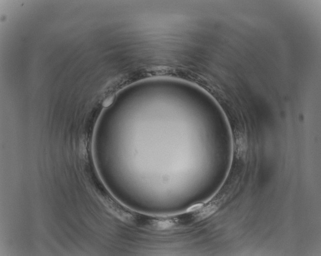 X0000070880662200606231344