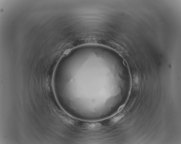 X0000070880663200606231344