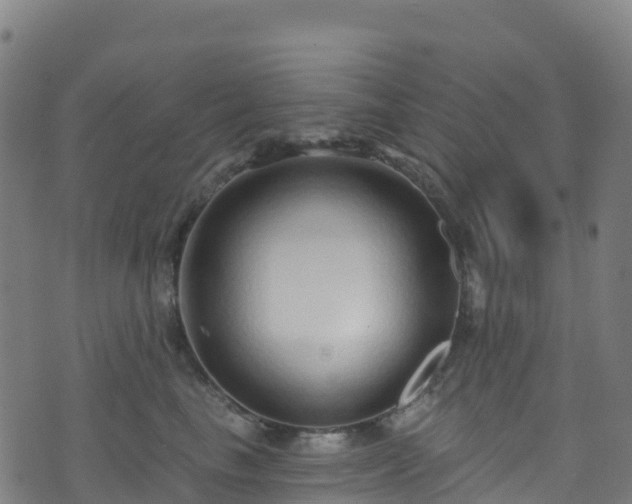 X0000070880665200606231344