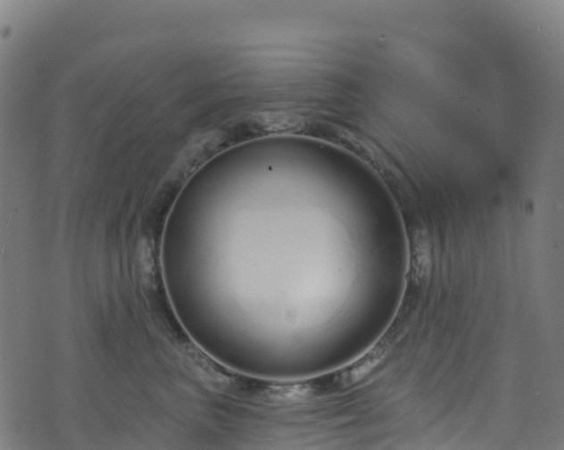 X0000070880667200606231344