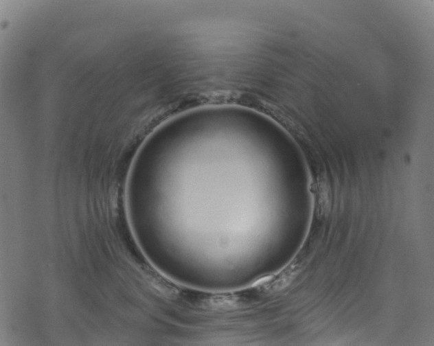 X0000070880668200606231344