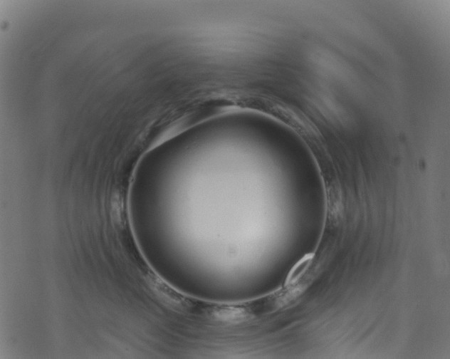 X0000070880669200606231344