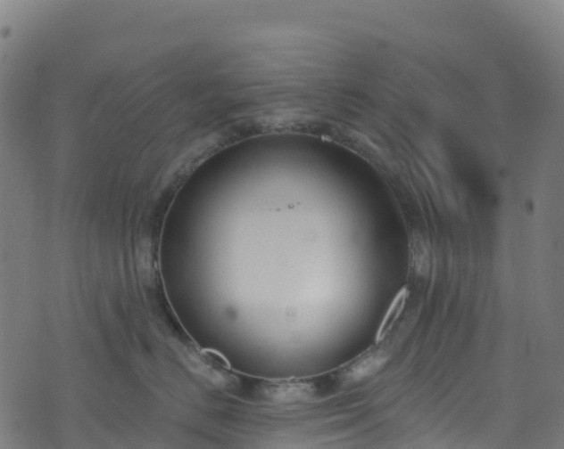 X0000070880670200606231344