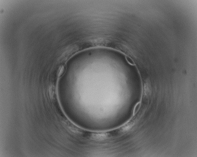 X0000070880671200606231344