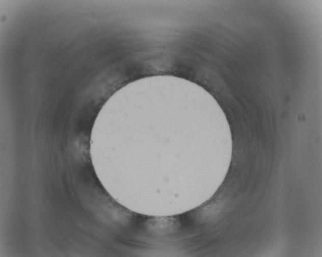 X0000070880672200606231344