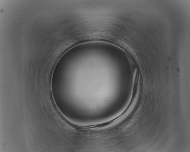 X0000070880673200606231343