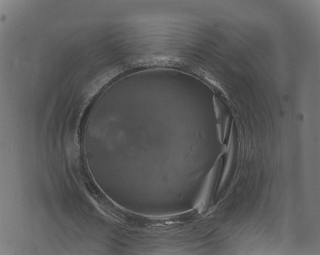 X0000070880674200606231343