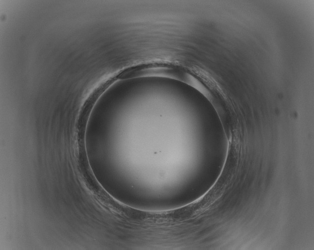 X0000070880676200606231343