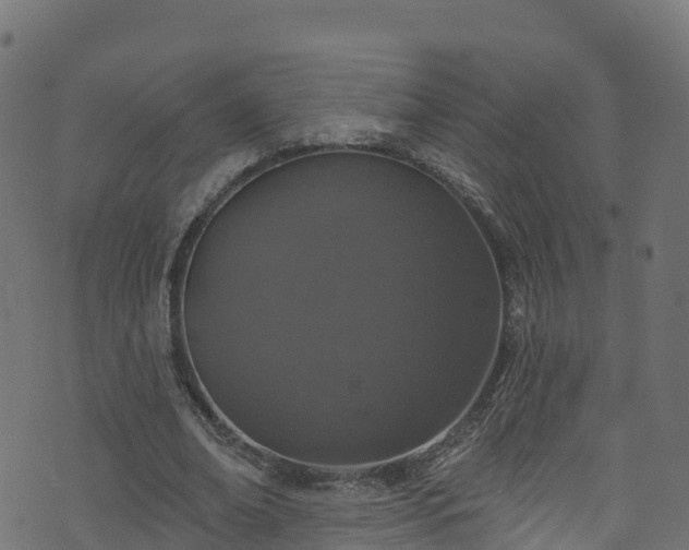 X0000070880678200606231343