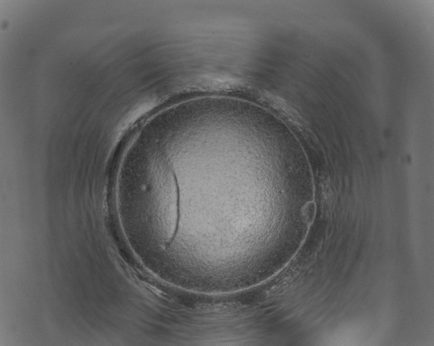 X0000070880679200606231343