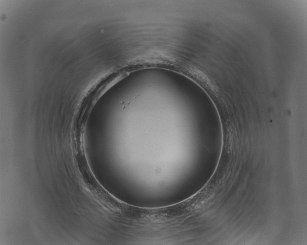 X0000070880680200606231343