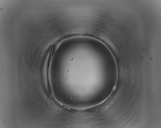 X0000070880681200606231343