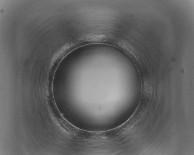 X0000070880682200606231343