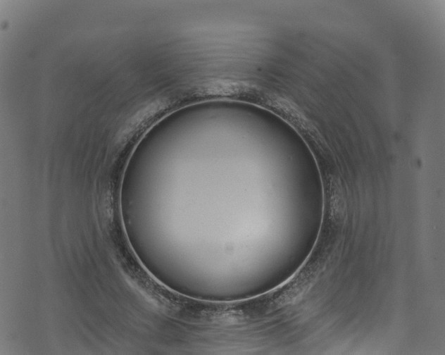 X0000070880683200606231343