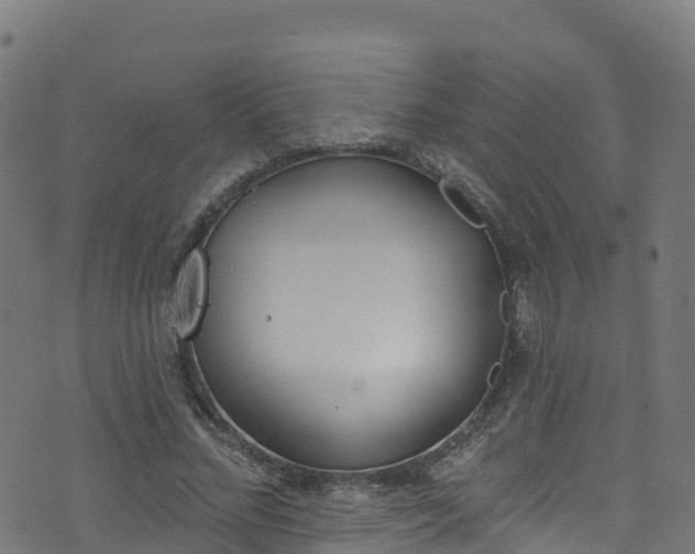 X0000070880684200606231343