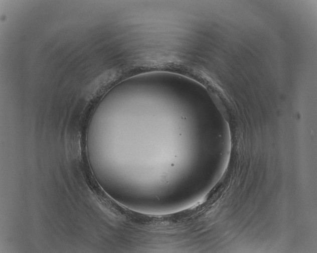 X0000070880685200606231343