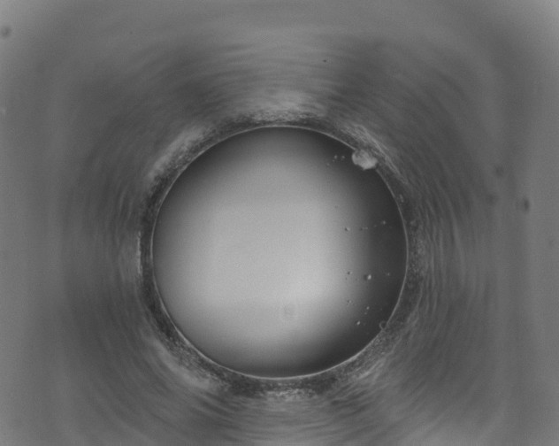 X0000070880686200606231343