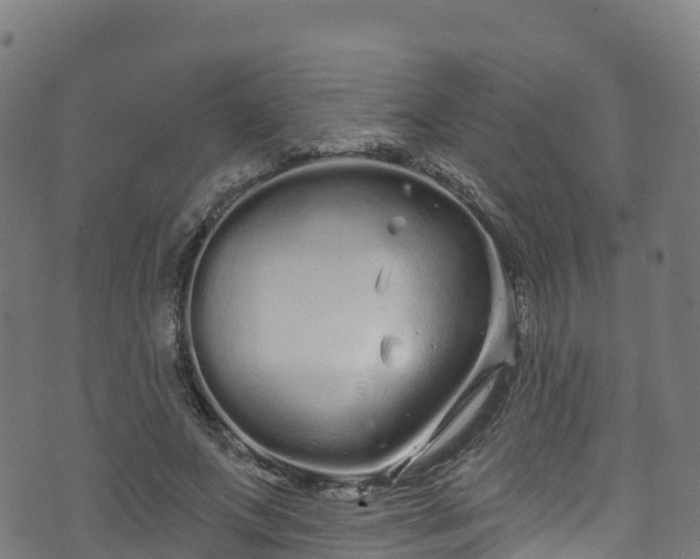 X0000070880687200606231343