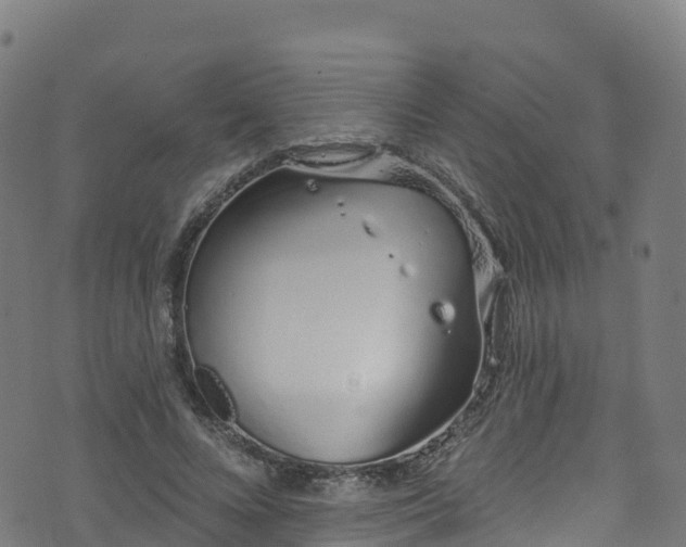 X0000070880688200606231343