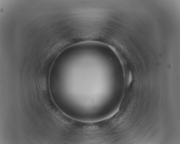 X0000070880689200606231343