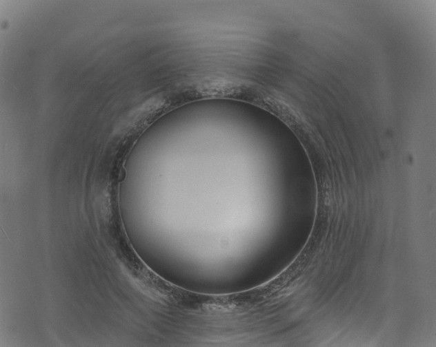 X0000070880690200606231343