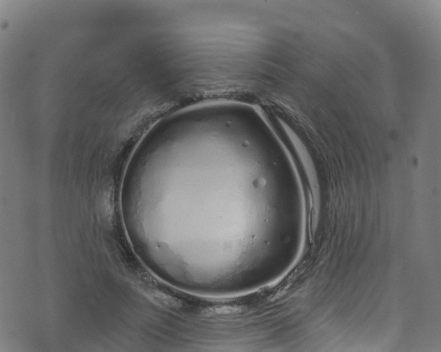 X0000070880691200606231343